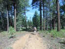 photo thumbnail #5