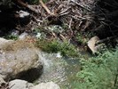 photo thumbnail #13