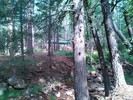 photo thumbnail #13