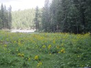 photo thumbnail #6