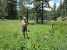 photo thumbnail #8