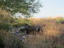 photo thumbnail #2
