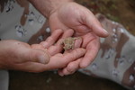 photo thumbnail #9