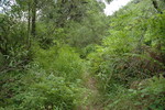 photo thumbnail #14