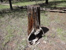 photo thumbnail #7