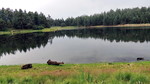 photo thumbnail #5
