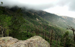 photo thumbnail #10