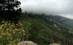 photo thumbnail #11