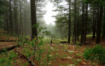 photo thumbnail #13