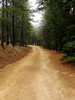 photo thumbnail #14