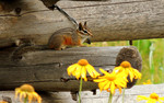 photo thumbnail #15