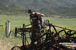 photo thumbnail #11