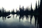 photo thumbnail #9