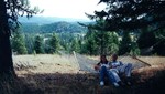 photo thumbnail #13