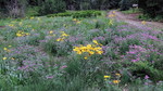 photo thumbnail #6