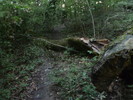 photo thumbnail #7
