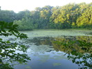 photo thumbnail #9