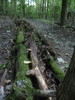 photo thumbnail #10