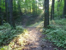 photo thumbnail #11
