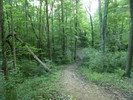photo thumbnail #12