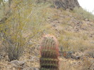 photo thumbnail #3