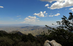 photo thumbnail #10