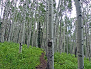 photo thumbnail #5