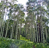 photo thumbnail #2