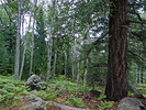 photo thumbnail #9
