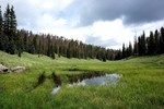 photo thumbnail #2