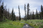 photo thumbnail #7
