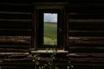 photo thumbnail #11