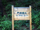 recent photo