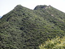 recent photo