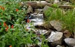 photo thumbnail #2
