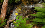 photo thumbnail #7