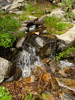 photo thumbnail #13