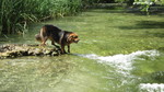 photo thumbnail #15