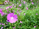 photo thumbnail #1