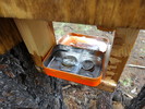 photo thumbnail #4