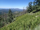 photo thumbnail #7