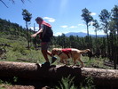 photo thumbnail #8