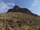 photo thumbnail #2