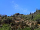 photo thumbnail #9