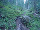 photo thumbnail #2