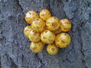 photo thumbnail #3