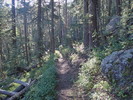 photo thumbnail #8