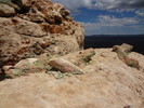 photo thumbnail #8