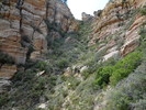 photo thumbnail #13