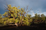 2013-08-02 :: Sunset Crater - Rainbows and Such :: hippiepunkpirate